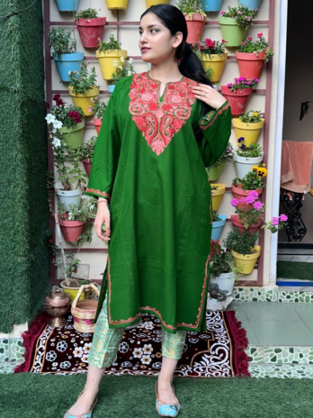 Kashmilon Wool Stiched Aari Work Feran Green